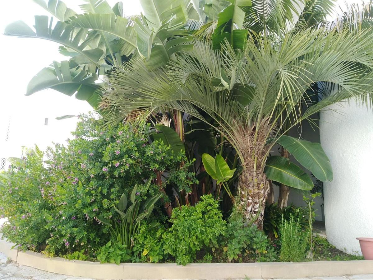Garden View Vilamoura Apartment 外观 照片